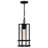 1 - Light Outdoor Hanging Lantern and Outdoor Pendant