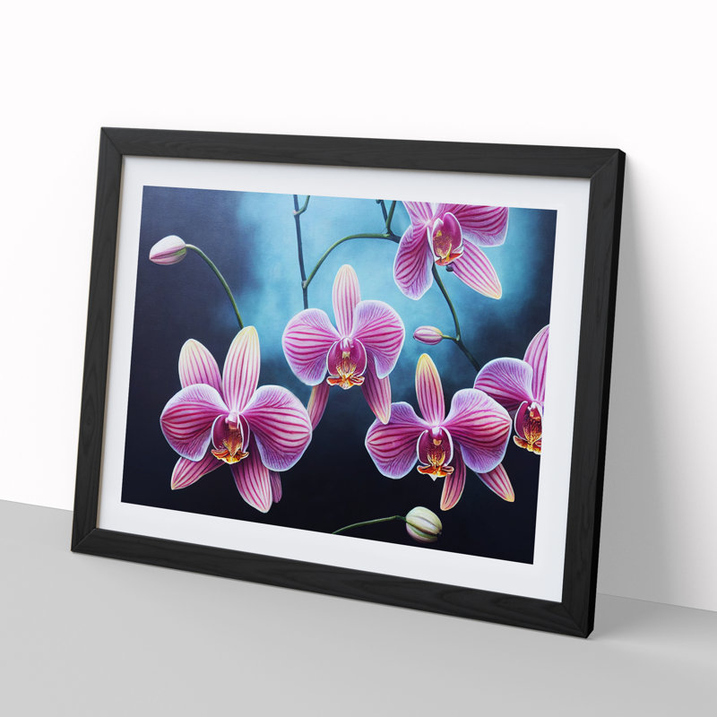 Incomparable Orchid Flowers - Single Picture Frame Print, Black, 46cm H x 64cm W x 2cm D