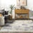 Daveign SpinClean Abstract Lines Machine Washable Area Rug-1420134947