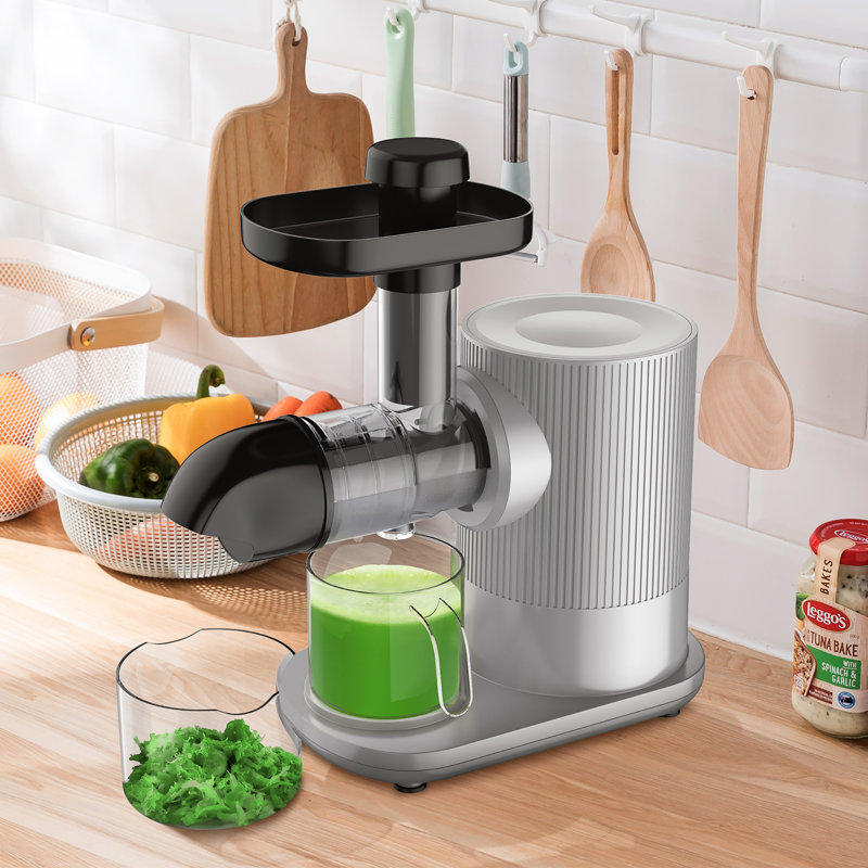 Costway 220 Watt Electric Slow Masticating & Cold Press Juicer, Silver
