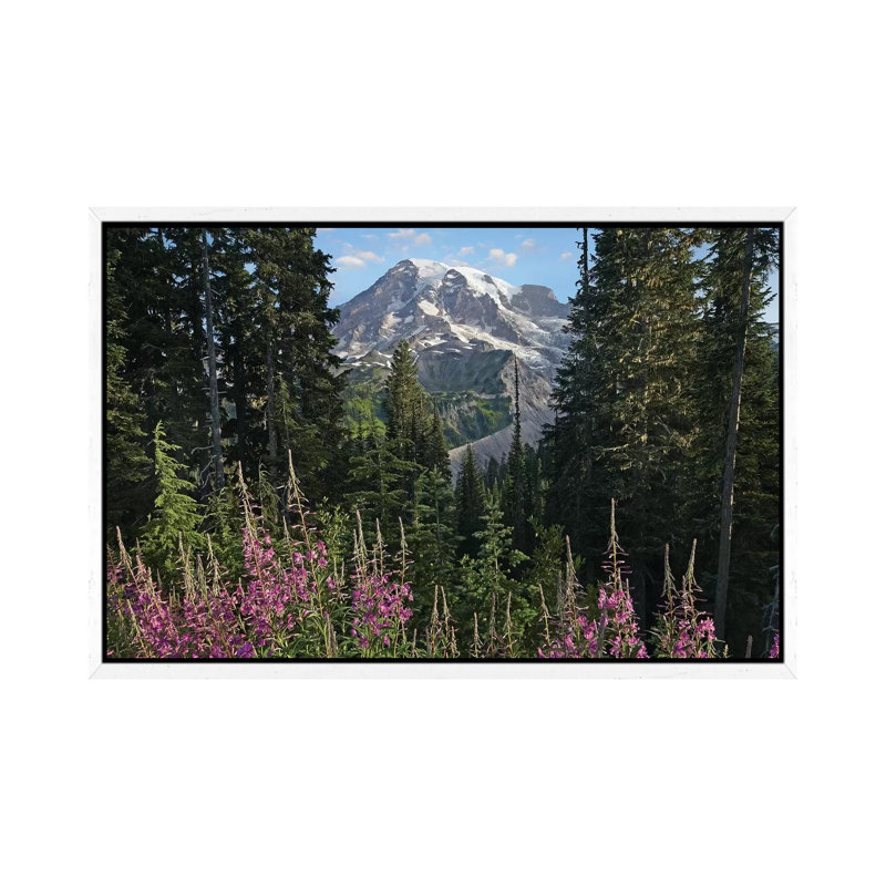 Fireweed Flowering And Mount Rainier, Mount Rainier National Park, Washington 1 Piece Wall Art on Canvas, White Framed