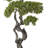 Hinkle 64.5'' Faux Bonsai Tree in Planter