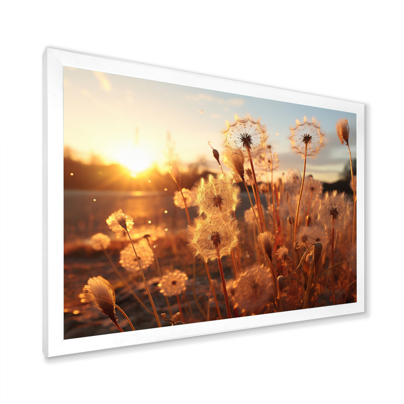 " Sunset Dandelion Field II ", 12" H x 20" W x 1" D, White Picture Framed