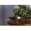 Radiant Aluminum Compote-1419979086