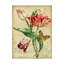 «French Florals 2» par Deagen, impression sur toile tendue-30355997