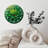 Numbers On Succulent Clock