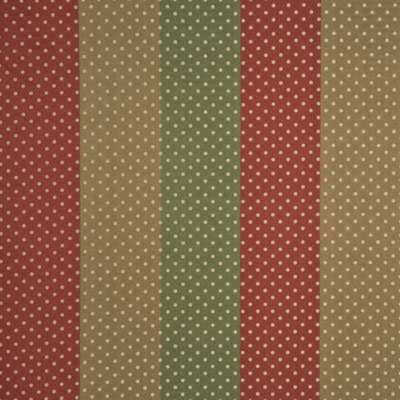 Mirabel Stripe Silk Fabric