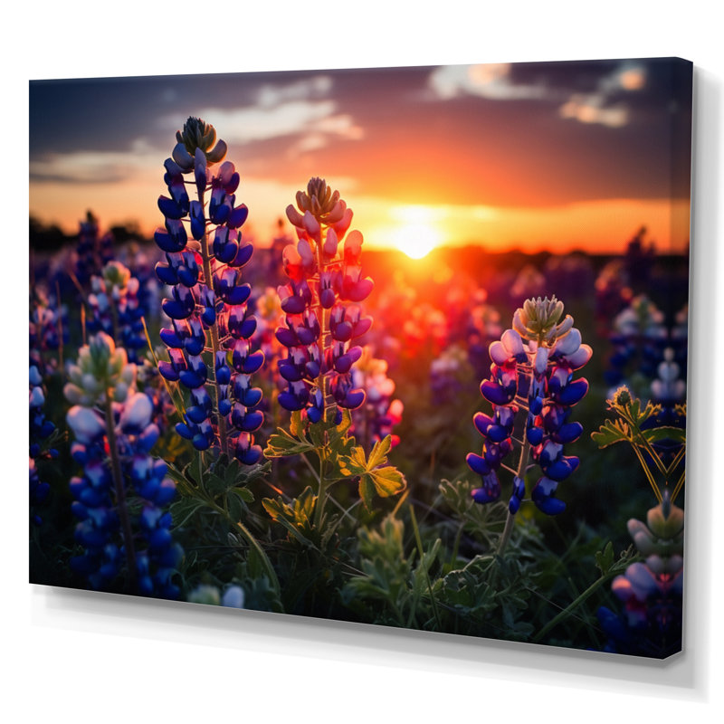 Sunrise Blue Bonnets Field I - Décoration murale bonnets bleus, H 16 po x l 32 po x P 1 po, Toile tendue