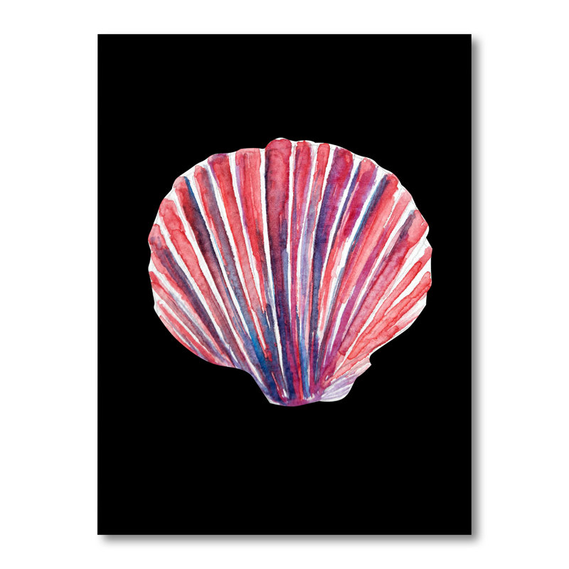 Coquillage sur fond noir - peinture, H 40 po x l 30 po x P 1,5 po, Toile tendue