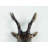 Artisan Crafted Brass Deer Head Wall Hook, 7-Inch Rustic Trophy-Style Accent