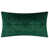 Vert foncé