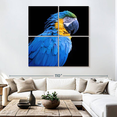 Ara bleu néotropical Brampt