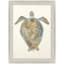 Neutral Turtle II