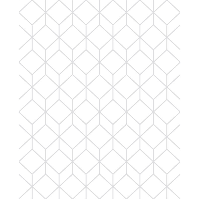 Laos Trial 10m x 52cm Matte Wallpaper Roll, White/Silver