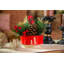 Arrangement floral de Noël en pot-1363947668-1363918559