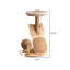 Structure d'escalade en bois massif 17,72 po