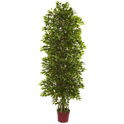 Myra 6ft. Arbre artificiel à quatre niveaux Ficus résistant aux rayons UV (intérieur / extérieur)
