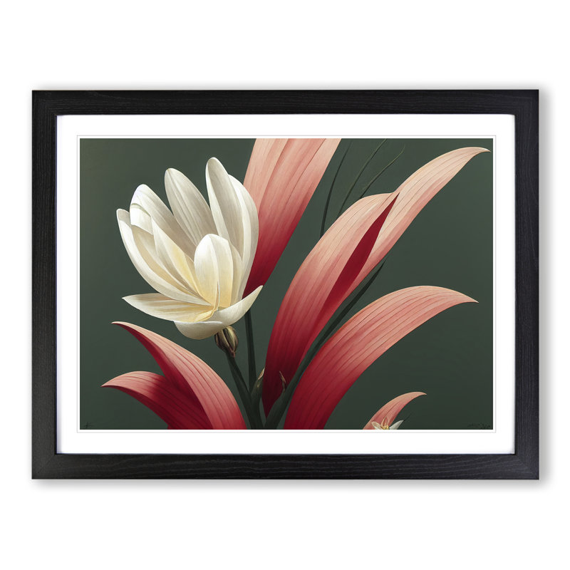Extraordinary Flower - Single Picture Frame Print, 46cm H x 64cm W x 2cm D, Black