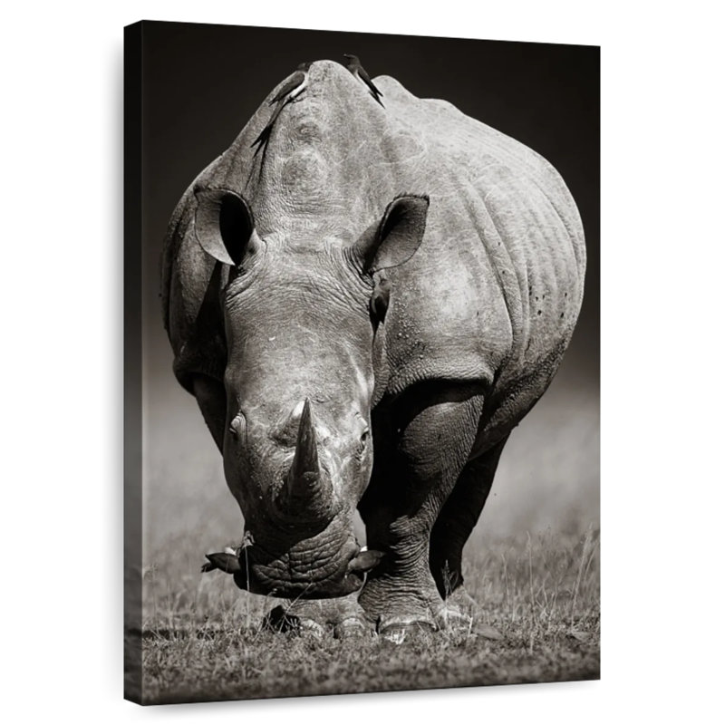 Rhinocéros africain blanc Brampt, H 30 po x l 20 po