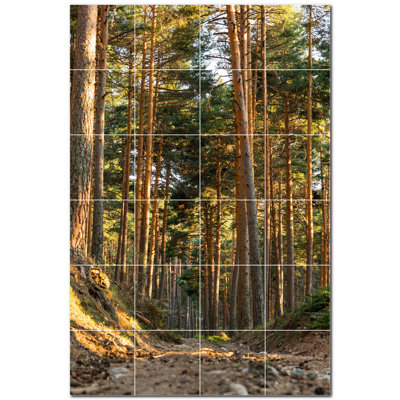 Photo d'automne 4,25 x 4,25