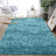 Alaunna Standard Shag Area Rug