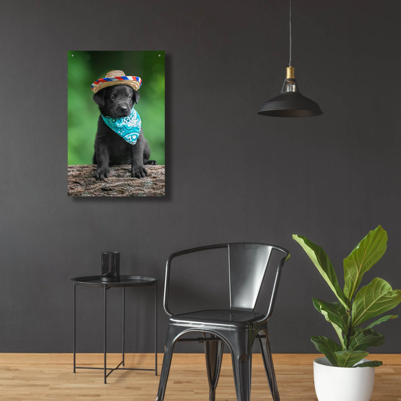 «Black Lab Pup 6» par Jonathan Ross, H 36 po x l 24 po x P 0,2 po