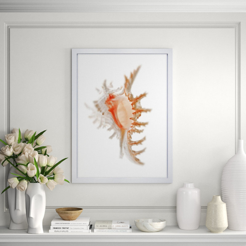 Sea Shell In White I Print by Sofia Fox, Outdoor, 40" H x 30" W x 1.5" D