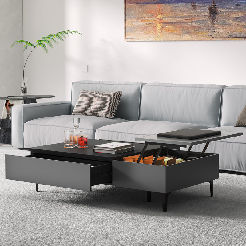 Ronith Modern Lift Top Coffee Table with Hidden Compartment