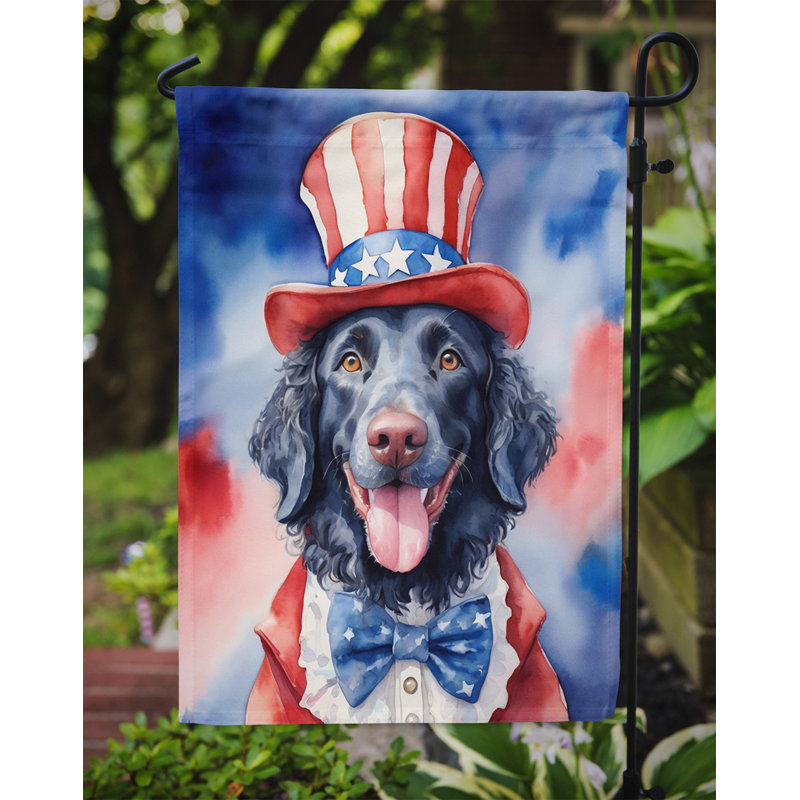 Drapeau patriotique du jardin américain, Retriever à poil frisé