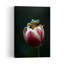 Curious Frog On Tulip Frog Tulip Flower Wall Art Print 1 Piece Wrapped Canvas Wall Art-1671626942