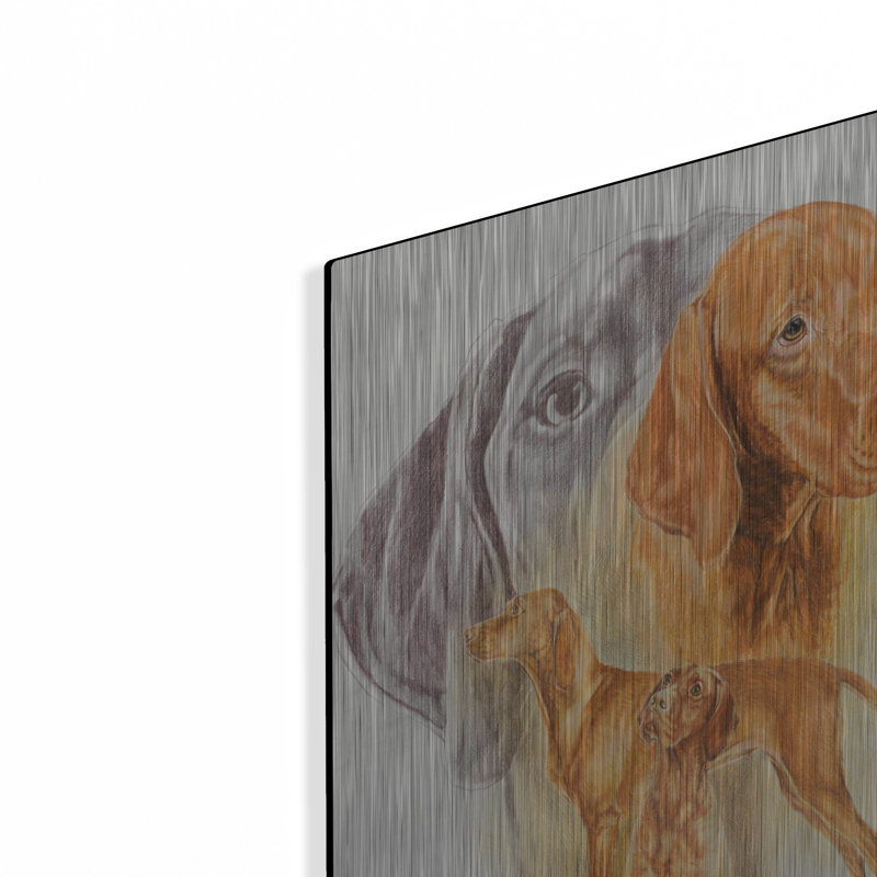 "Vizsla hongroise" par Barbara Keith, H 24 po x l 16 po