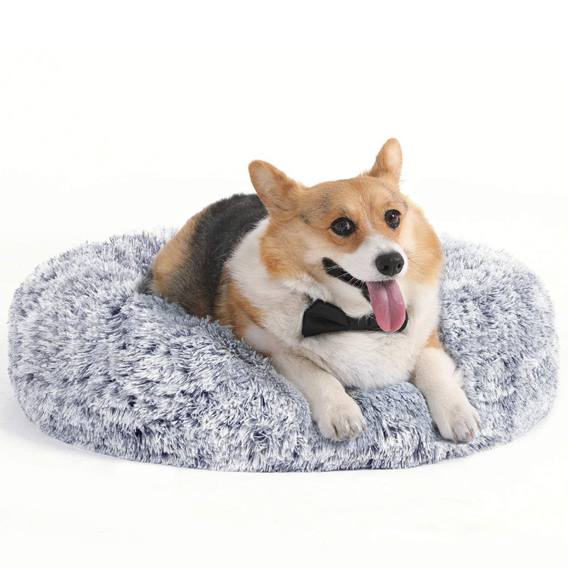 Beavercreek Orthopedic Suede Pet Bed