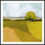 Sunkissed Solitude II par Grace Popp - peinture encadrée-1299934074-1272080528