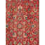 Oriental Area Rug