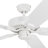 Belmar 52" Ceiling Fan with Pull Chain-1852046314