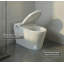 Toilette une pièce GarveeHome