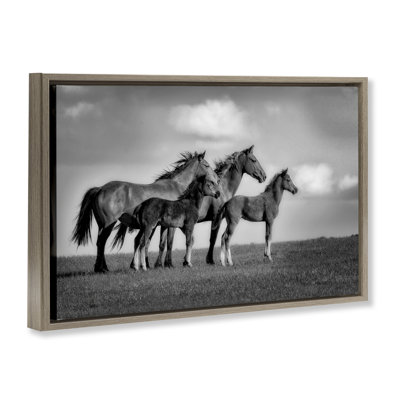 Cadre flottant Babies On Board Horse Family, design par Wendy Caro