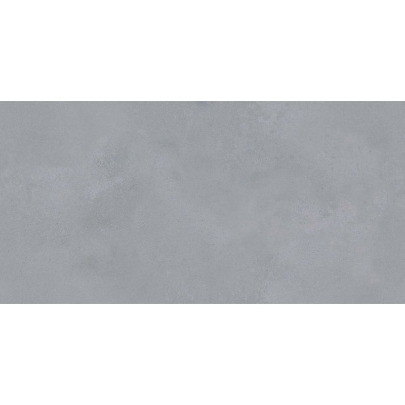 Element Concrete 24" x 48" Matte Porcelain Wall & Floor Tile