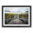 Black Framed