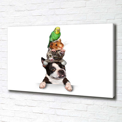 Group Of Animals - Wrapped Canvas Print