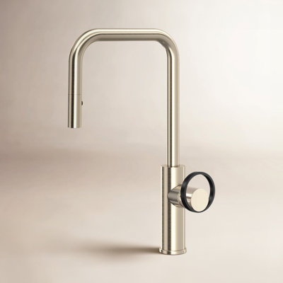 AllModern Linwood Pull Down Kitchen Faucet