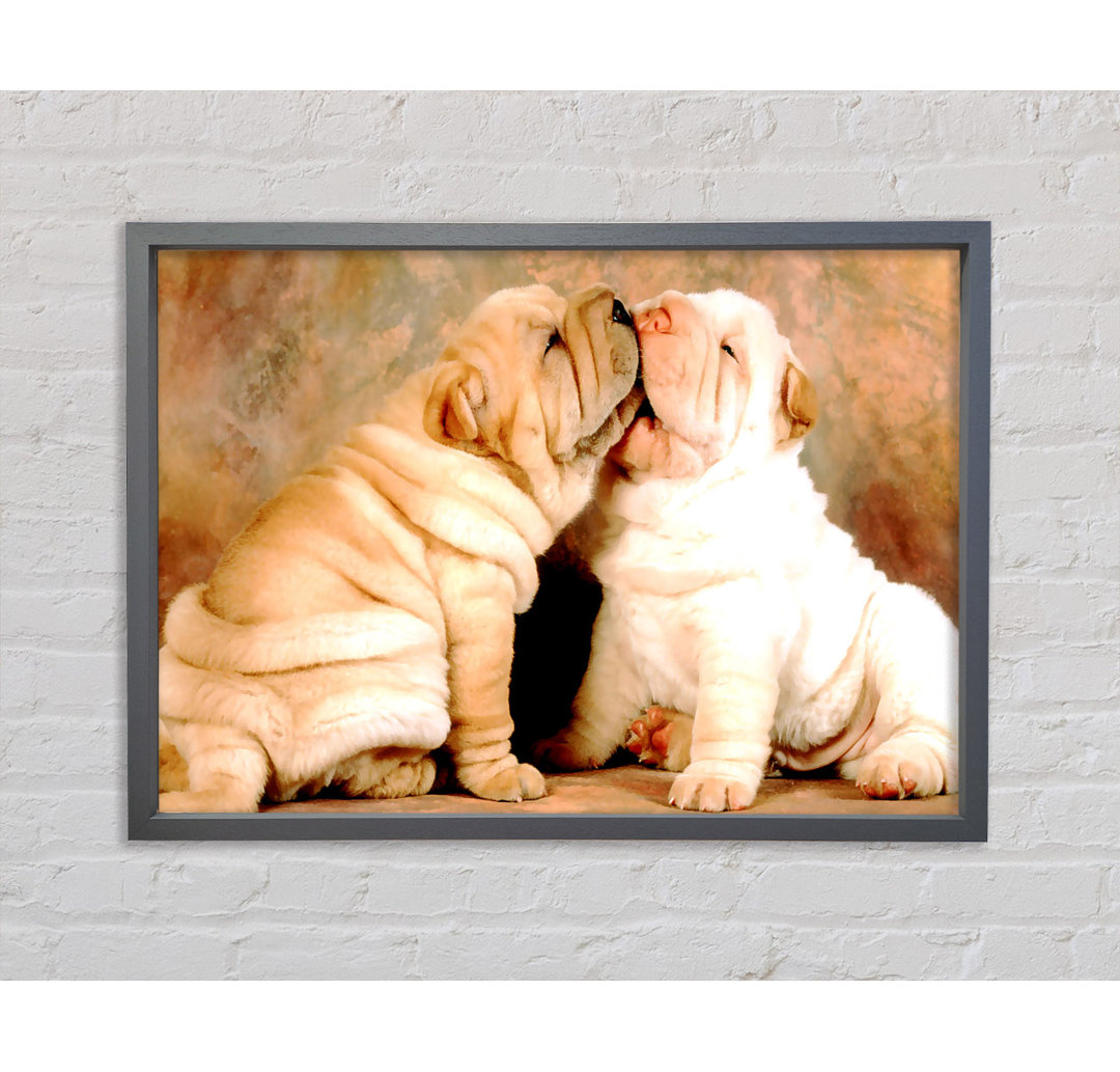 Shar Pei Welpen - Drucken