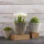 Ensemble de pots à fleurs en métal 3 pièces Saltsburg