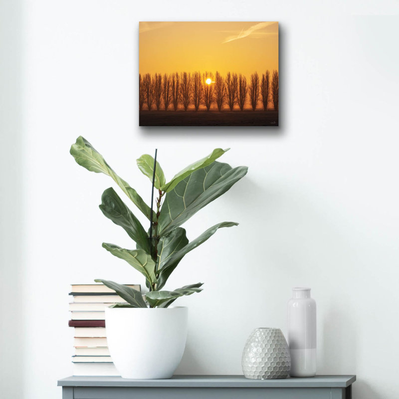  «Tree Row Sunrise» par Martin Podt, art mural en verre acrylique, 16 po x 12 po