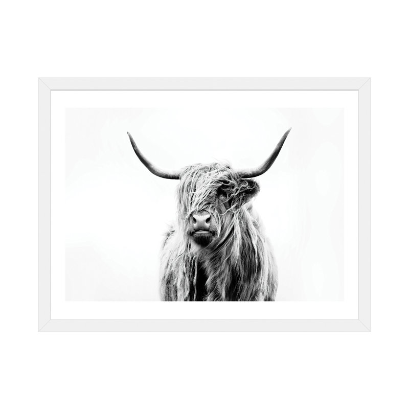 Portrait d'une vache des Highlands par Dorit Fuhg - impression, Cadre blanc, H 24 po x l 32 po x 1,5 po
