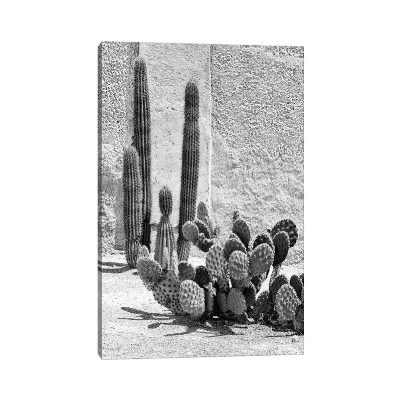 Black Arizona Series - Prickly Pear Cactus by Philippe Hugonnard - Wrapped Canvas Print, 101.6 cm H x 66.04 cm W x 1.91 cm D