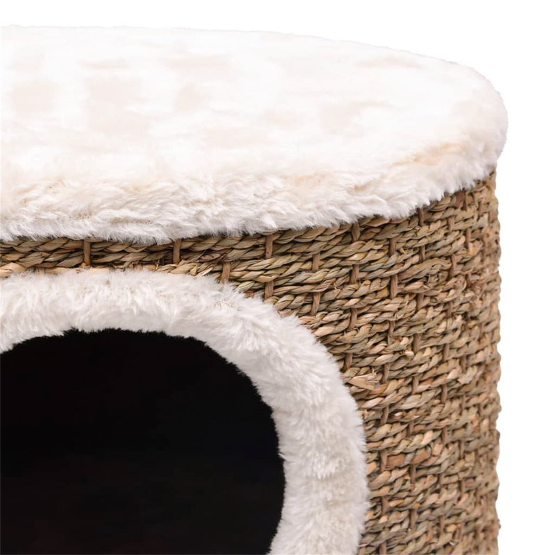 Duncan 40.8 cm H Cat Tree / Condo
