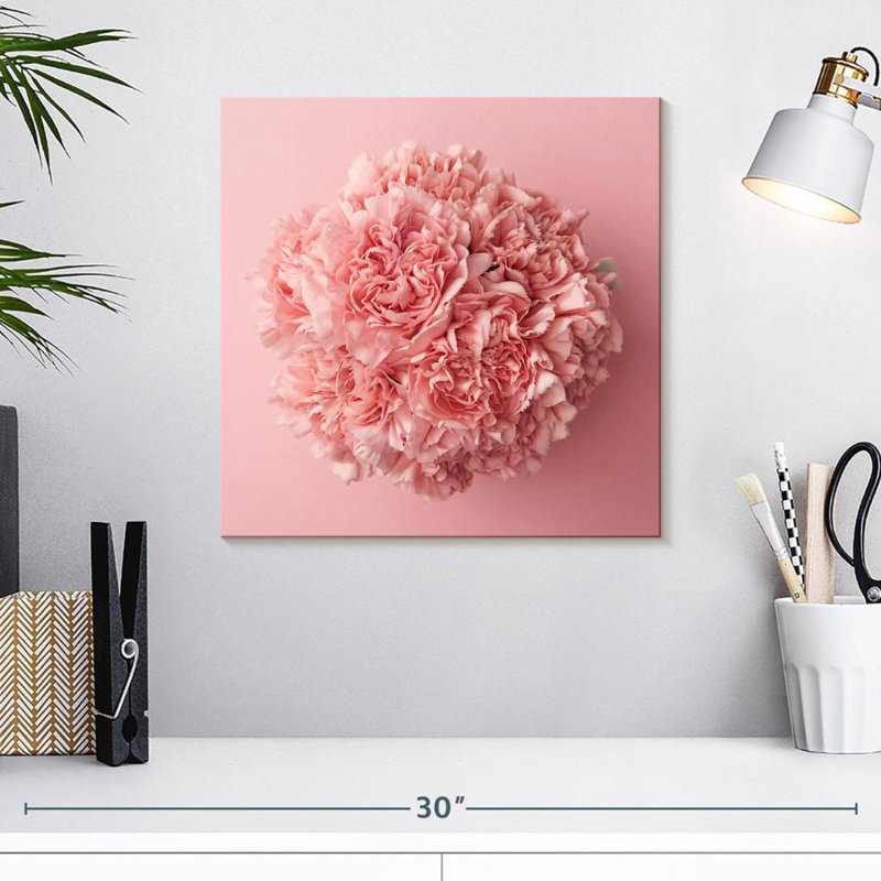Œillet rose Arney, H 16 po x l 16 po