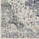 Amandeep Oriental Indoor Rug