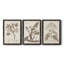 Antique sépia botanicals I - ensemble de 3 reproductions d'art sur toile-1241077294-1241077289